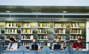 People working in a library